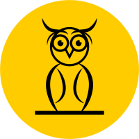 Logic Owl Logo